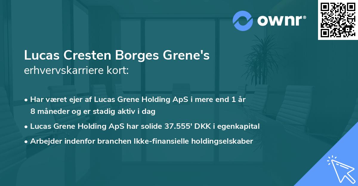 Lucas Cresten Borges Grene's erhvervskarriere kort