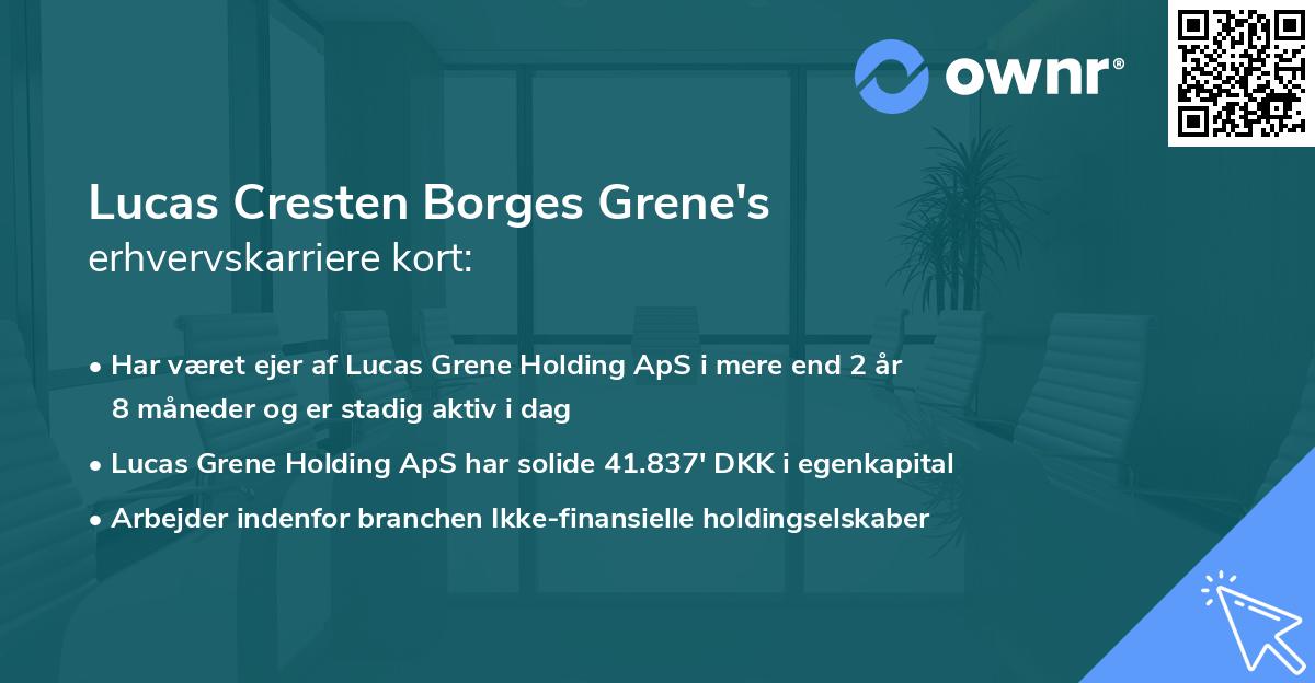 Lucas Cresten Borges Grene's erhvervskarriere kort