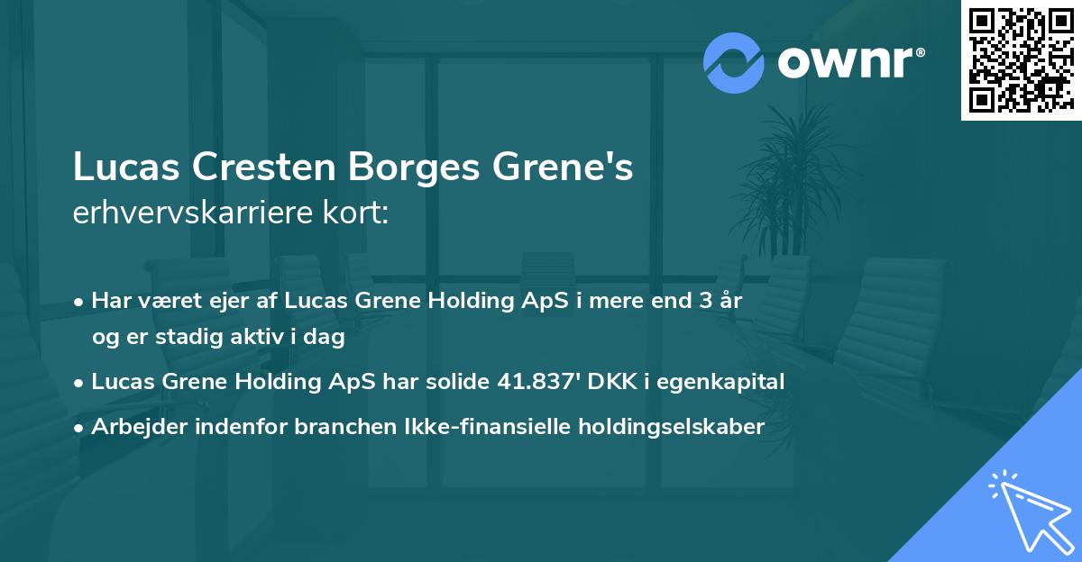 Lucas Cresten Borges Grene's erhvervskarriere kort