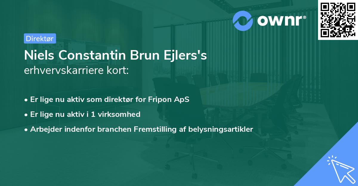 Niels Constantin Brun Ejlers's erhvervskarriere kort