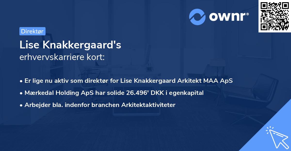 Lise Knakkergaard's erhvervskarriere kort
