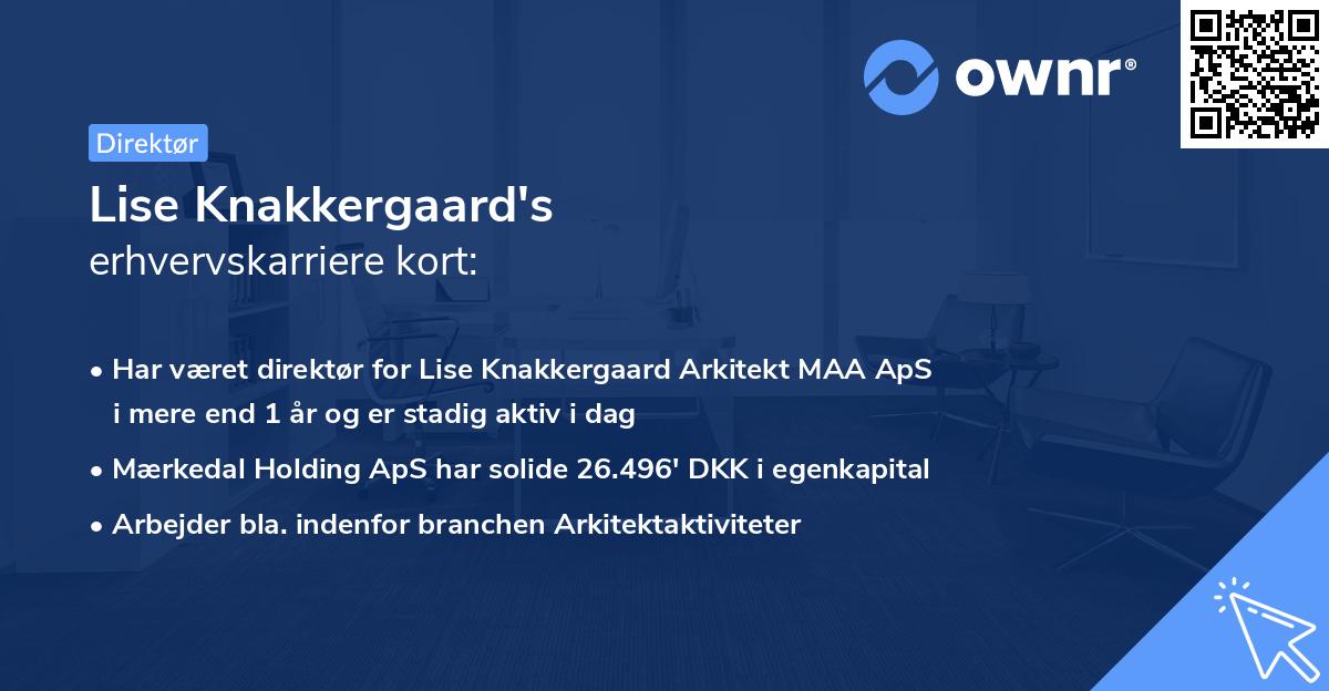 Lise Knakkergaard's erhvervskarriere kort