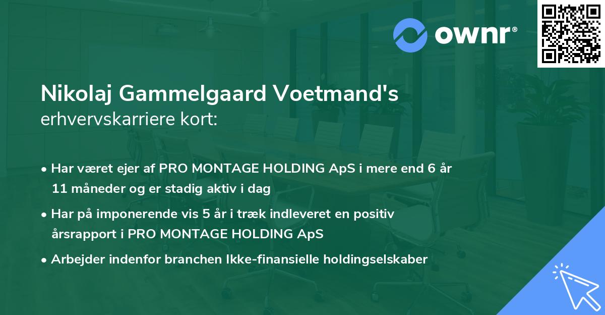 Nikolaj Gammelgaard Voetmand's erhvervskarriere kort