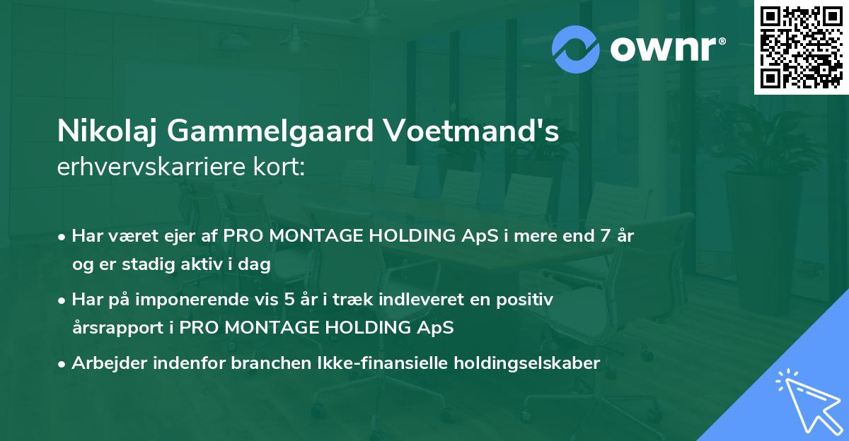 Nikolaj Gammelgaard Voetmand's erhvervskarriere kort