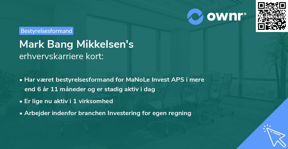 Mark Bang Mikkelsen's erhvervskarriere kort