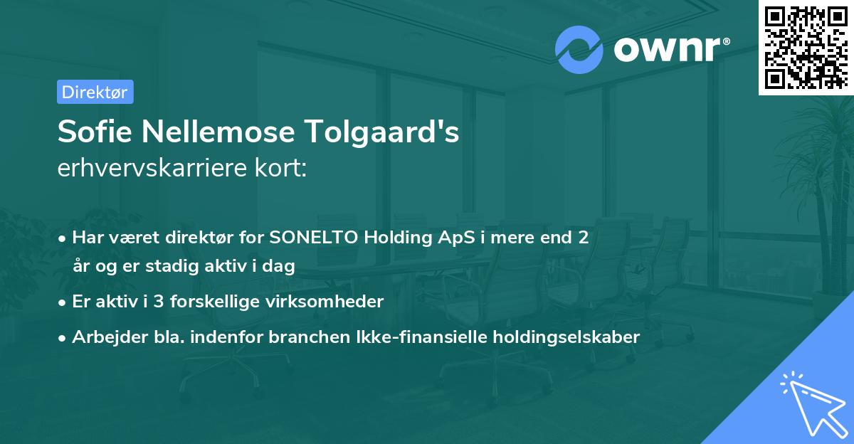 Sofie Nellemose Tolgaard's erhvervskarriere kort