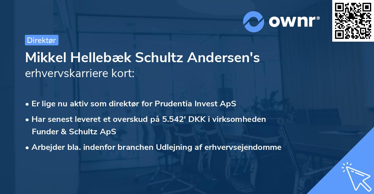 Mikkel Hellebæk Schultz Andersen's erhvervskarriere kort