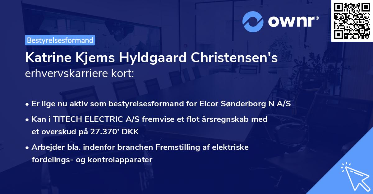 Katrine Kjems Hyldgaard Christensen's erhvervskarriere kort