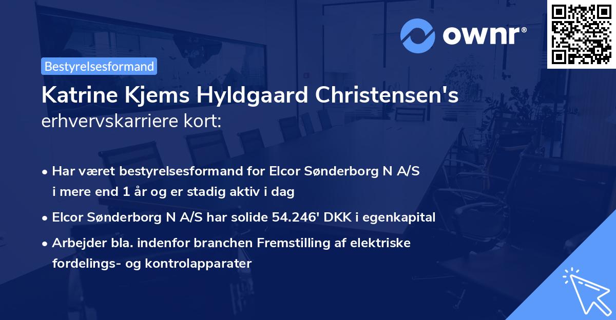 Katrine Kjems Hyldgaard Christensen's erhvervskarriere kort