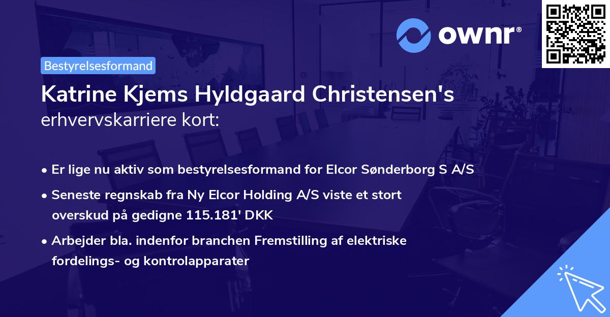 Katrine Kjems Hyldgaard Christensen's erhvervskarriere kort