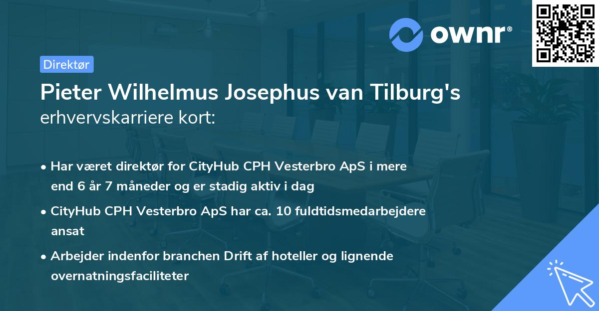 Pieter Wilhelmus Josephus van Tilburg's erhvervskarriere kort