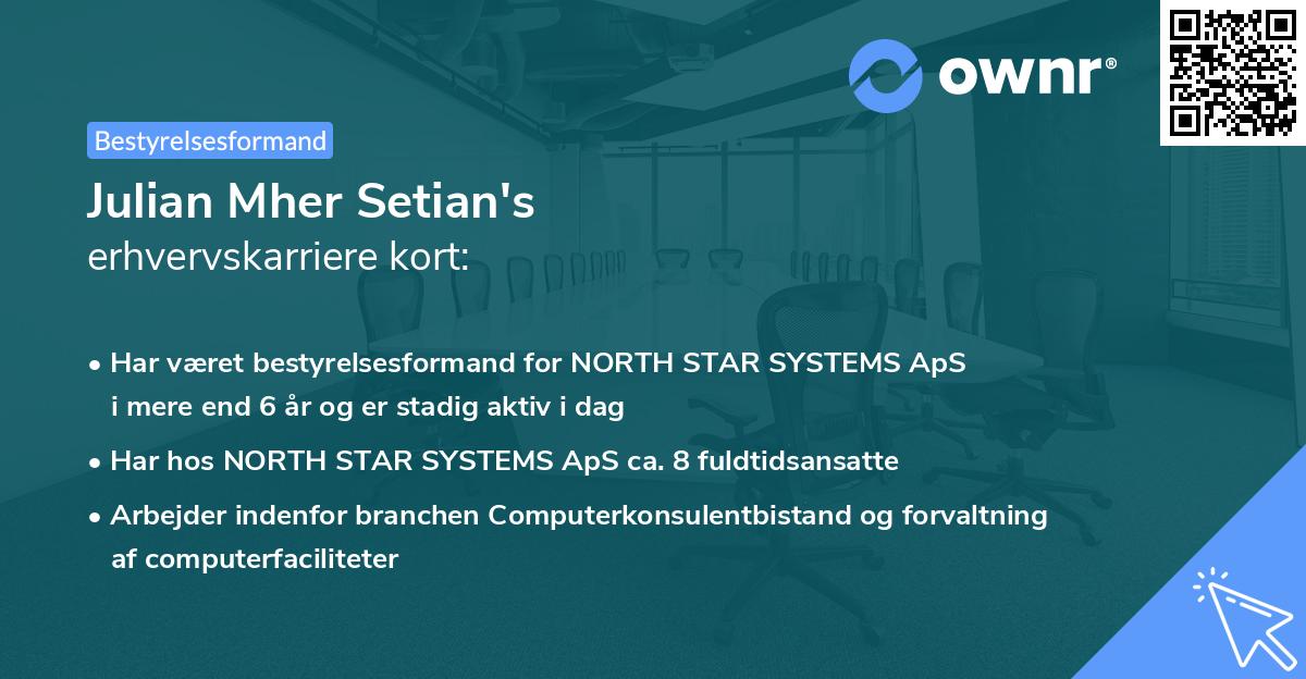 Julian Mher Setian's erhvervskarriere kort