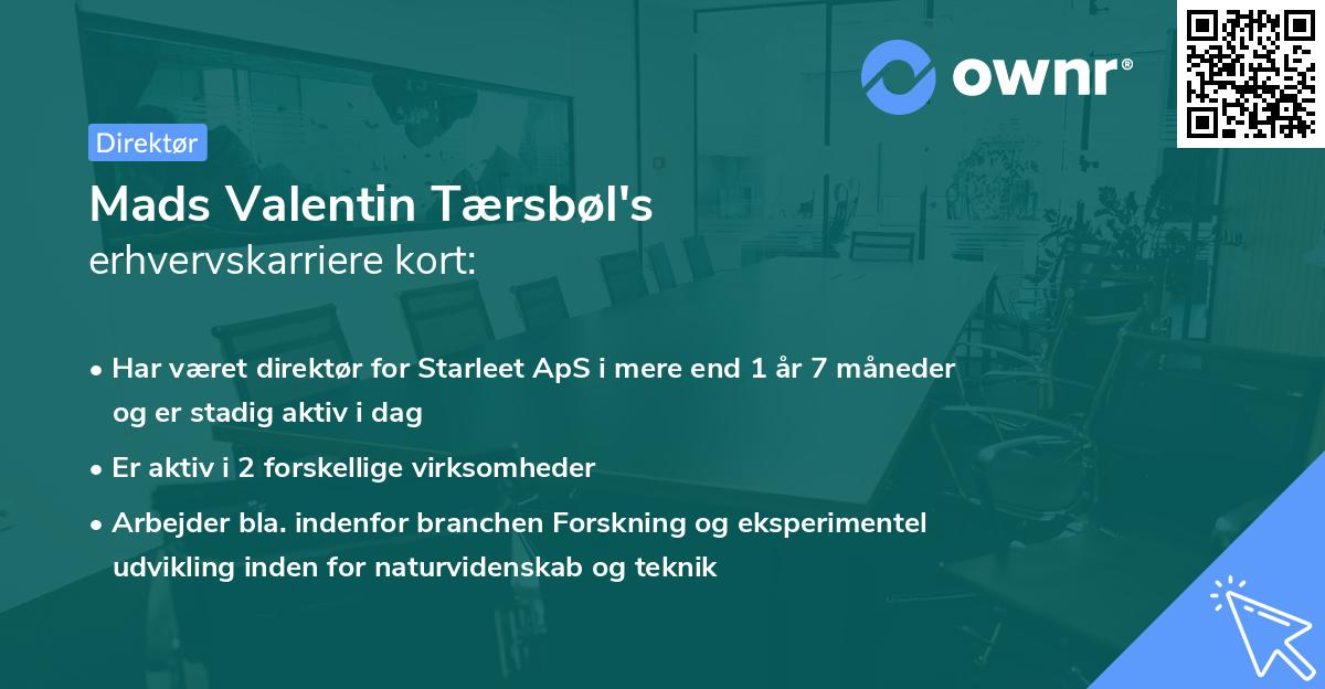 Mads Valentin Tærsbøl's erhvervskarriere kort