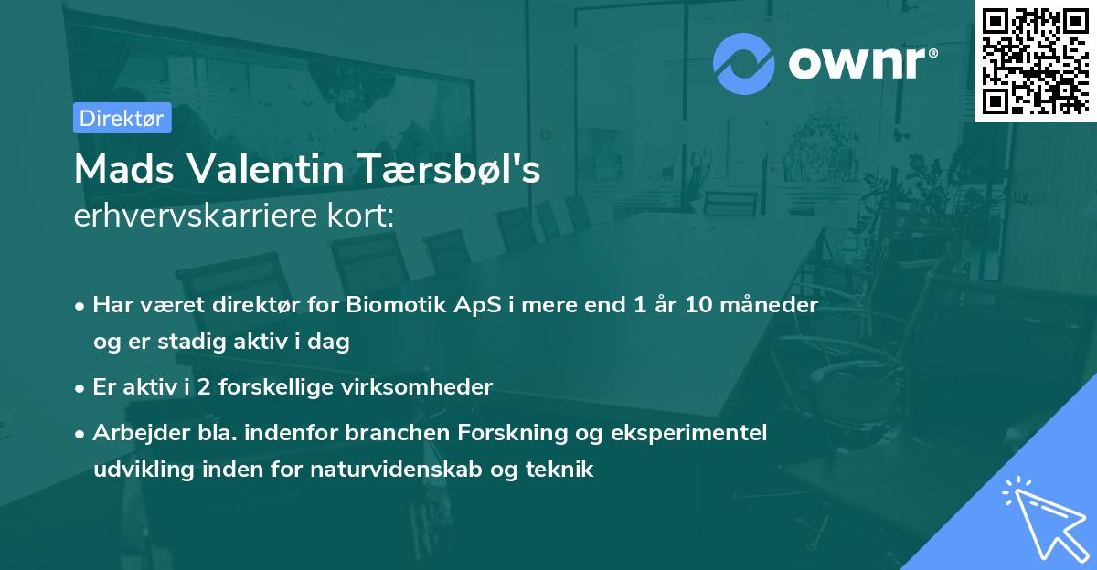 Mads Valentin Tærsbøl's erhvervskarriere kort
