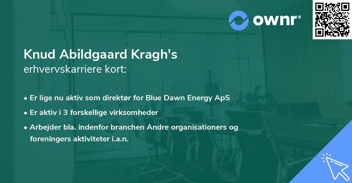 Knud Abildgaard Kragh's erhvervskarriere kort