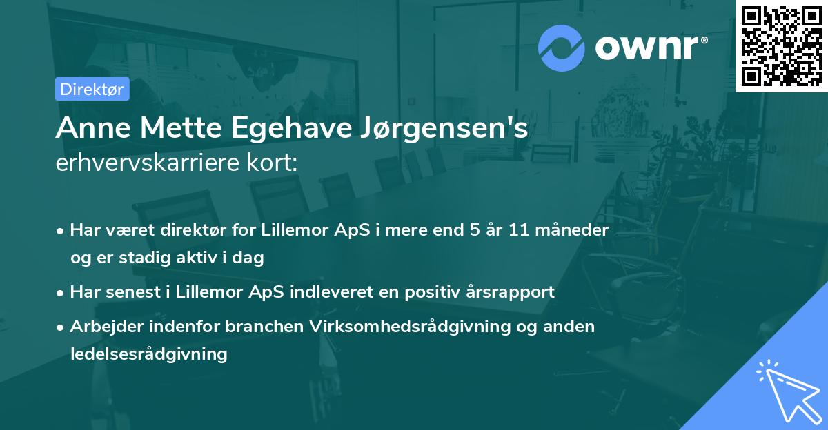 Anne Mette Egehave Jørgensen's erhvervskarriere kort