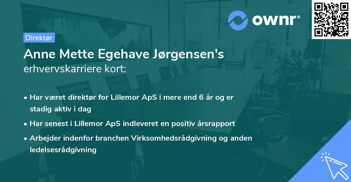 Anne Mette Egehave Jørgensen's erhvervskarriere kort