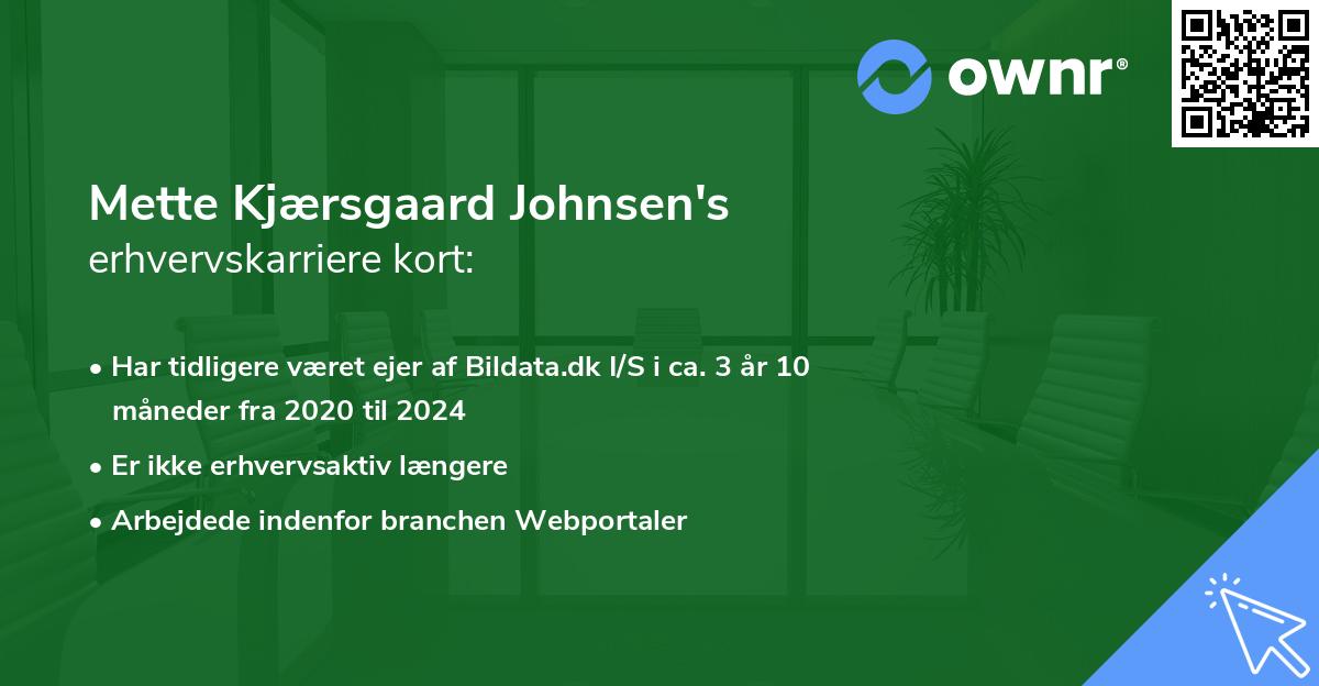 Mette Kjærsgaard Johnsen's erhvervskarriere kort