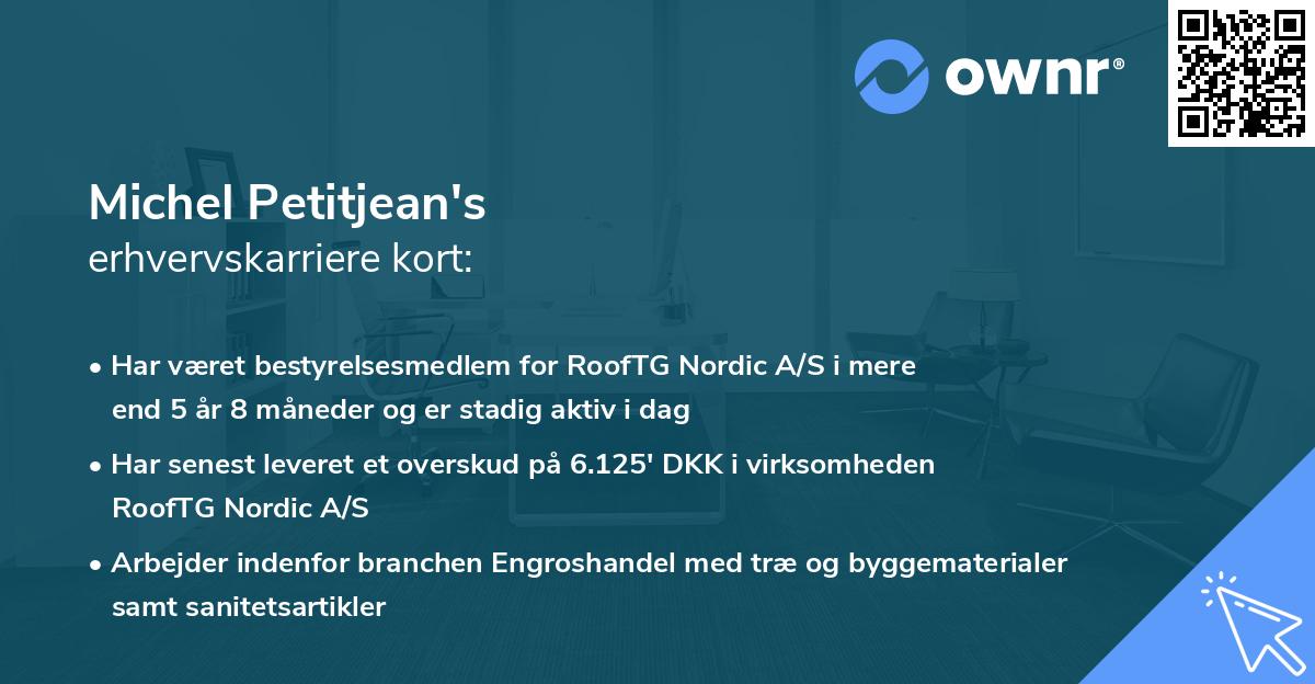 Michel Petitjean's erhvervskarriere kort