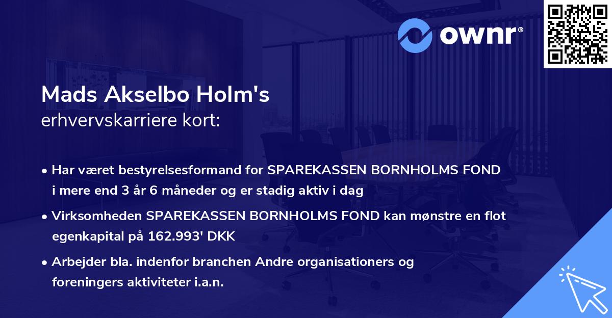 Mads Akselbo Holm's erhvervskarriere kort