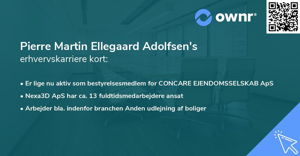 Pierre Martin Ellegaard Adolfsen's erhvervskarriere kort
