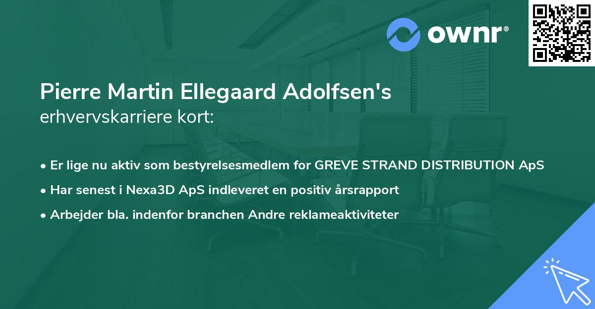 Pierre Martin Ellegaard Adolfsen's erhvervskarriere kort