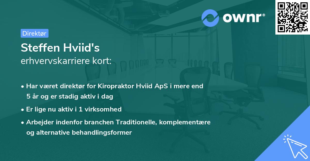 Steffen Hviid's erhvervskarriere kort