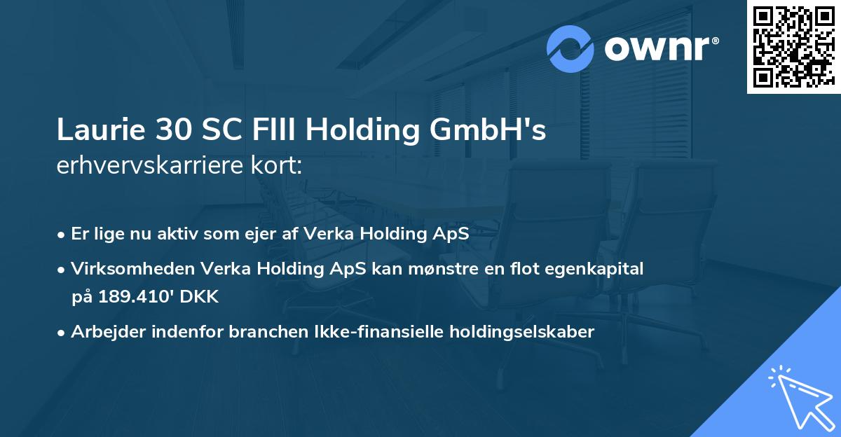 Laurie 30 SC FIII Holding GmbH's erhvervskarriere kort