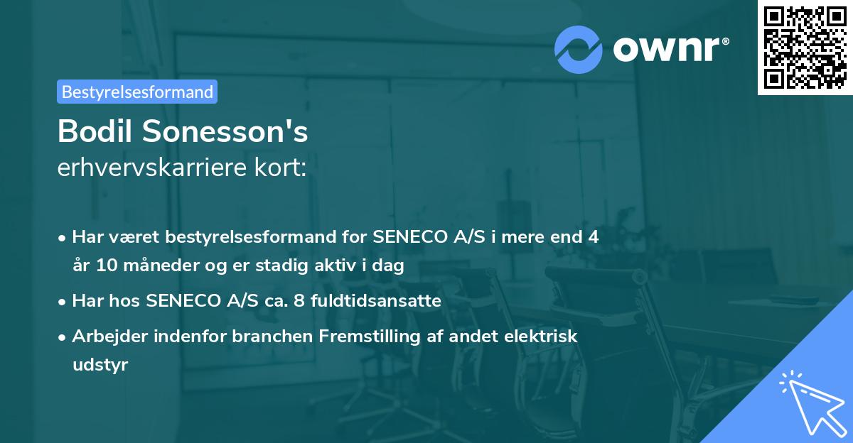 Bodil Sonesson's erhvervskarriere kort