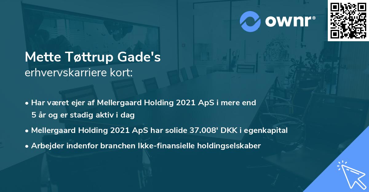 Mette Tøttrup Gade's erhvervskarriere kort