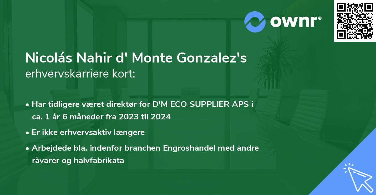 Nicolás Nahir d' Monte Gonzalez's erhvervskarriere kort