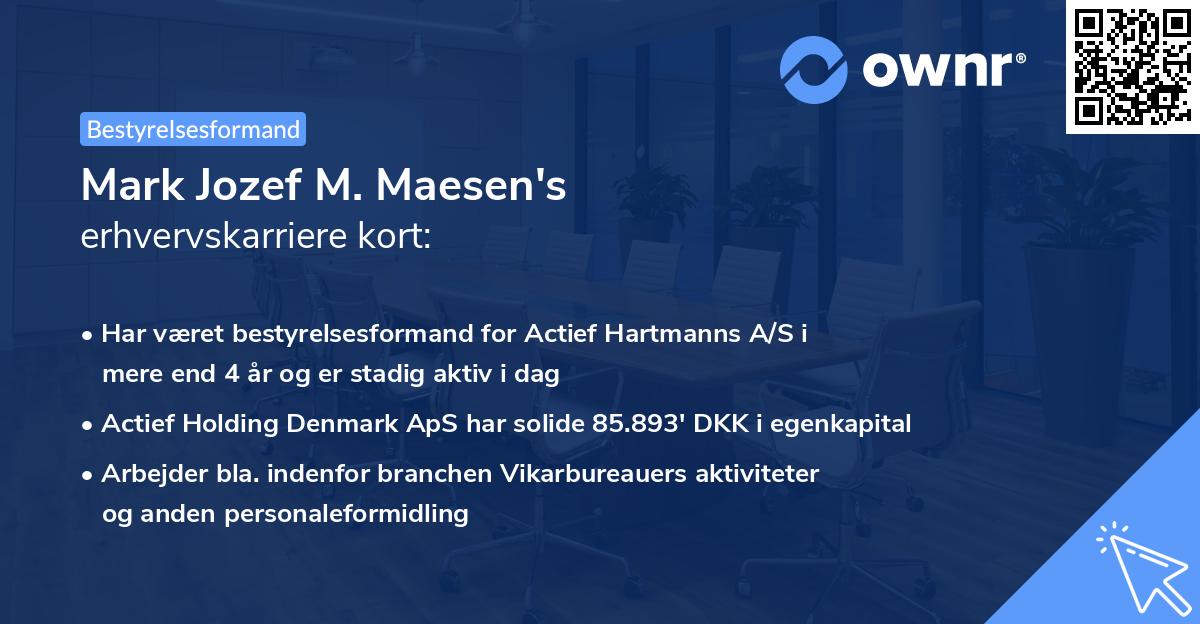 Mark Jozef M. Maesen's erhvervskarriere kort