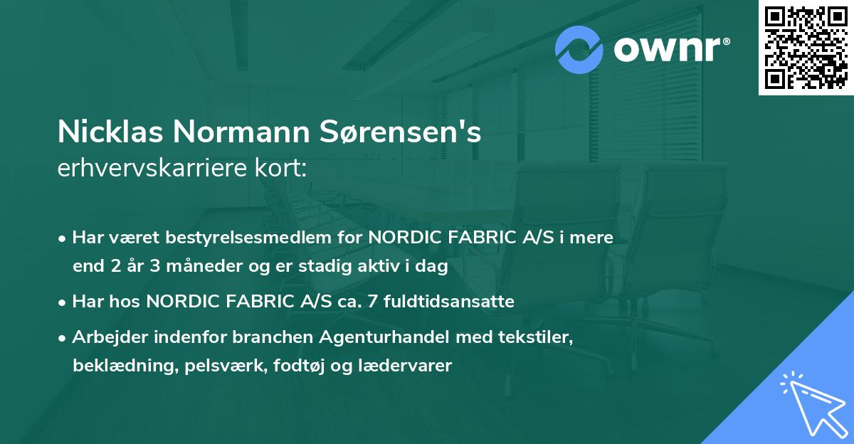 Nicklas Normann Sørensen's erhvervskarriere kort