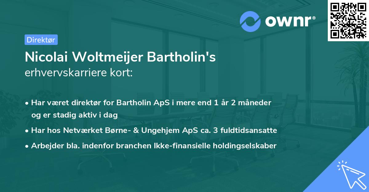 Nicolai Woltmeijer Bartholin's erhvervskarriere kort