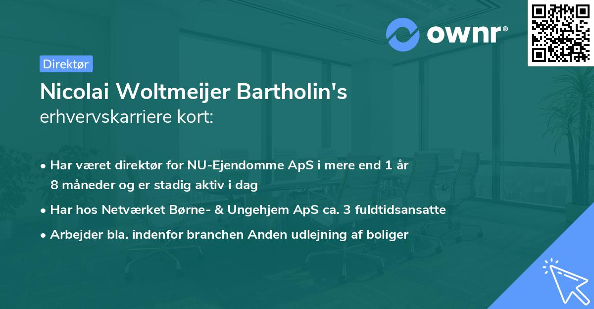 Nicolai Woltmeijer Bartholin's erhvervskarriere kort