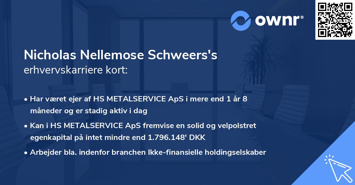 Nicholas Nellemose Schweers's erhvervskarriere kort