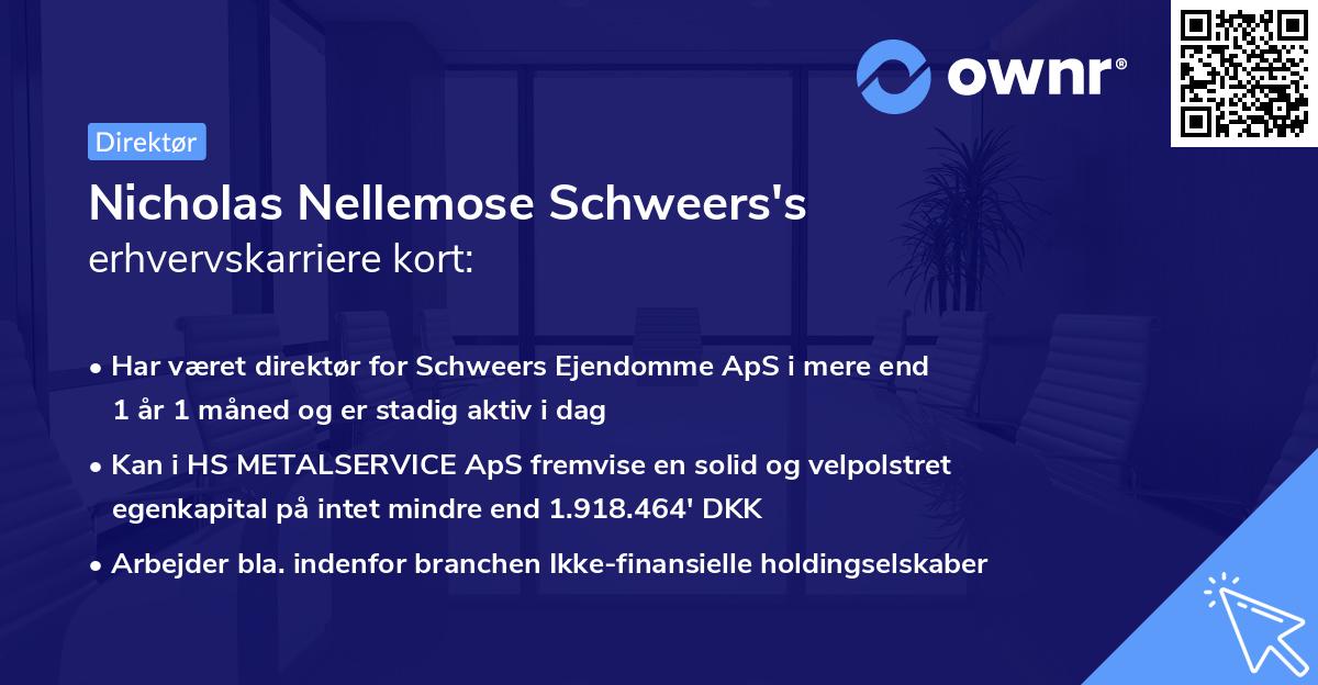 Nicholas Nellemose Schweers's erhvervskarriere kort