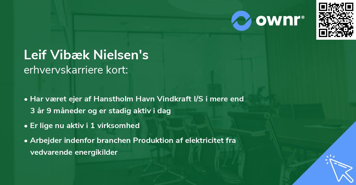 Leif Vibæk Nielsen's erhvervskarriere kort