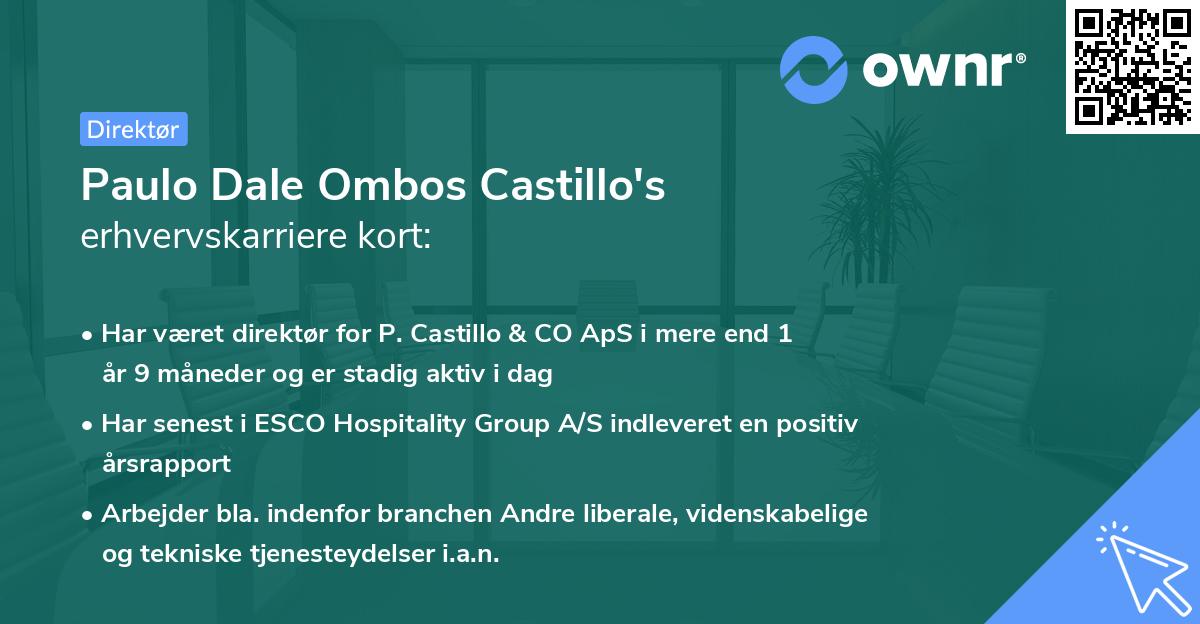 Paulo Dale Ombos Castillo's erhvervskarriere kort