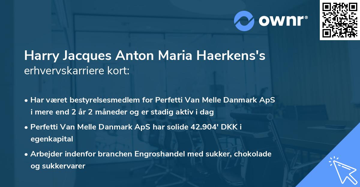 Harry Jacques Anton Maria Haerkens's erhvervskarriere kort