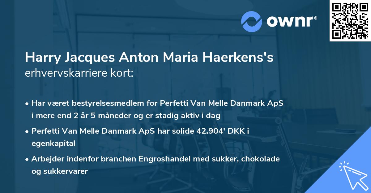 Harry Jacques Anton Maria Haerkens's erhvervskarriere kort