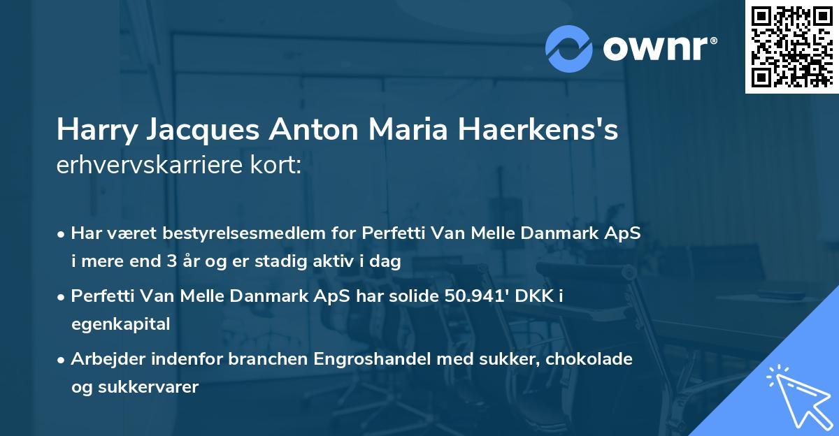 Harry Jacques Anton Maria Haerkens's erhvervskarriere kort