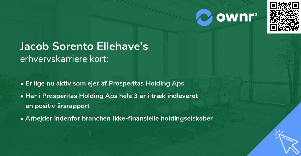 Jacob Sorento Ellehave's erhvervskarriere kort