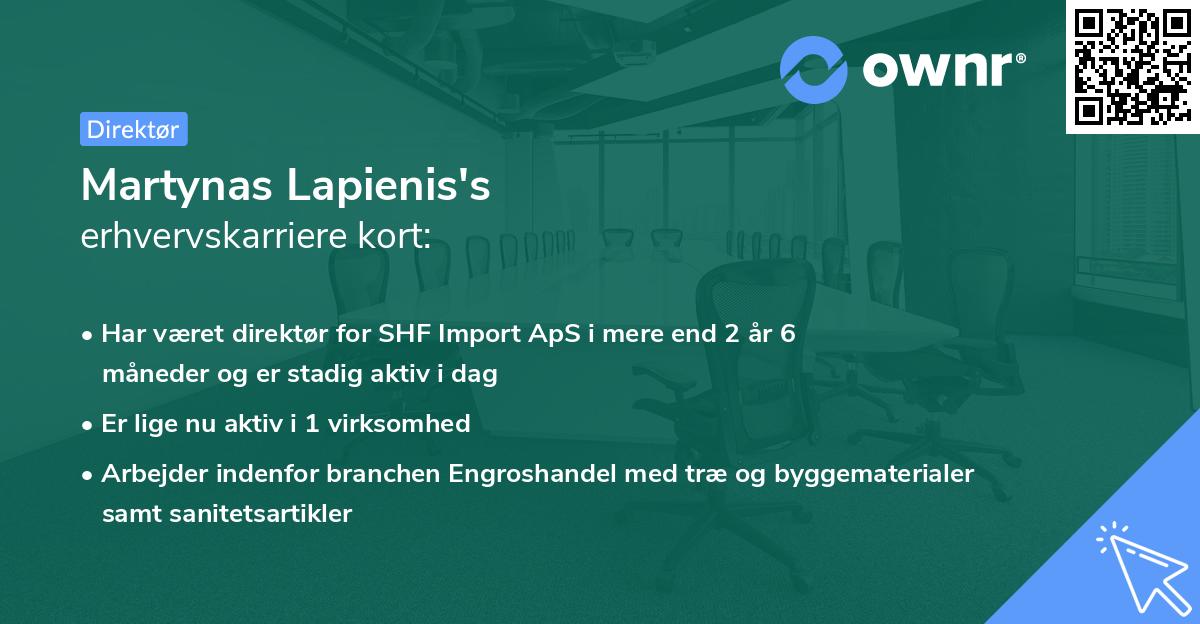 Martynas Lapienis's erhvervskarriere kort