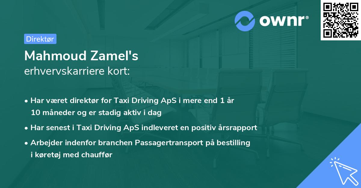 Mahmoud Zamel's erhvervskarriere kort