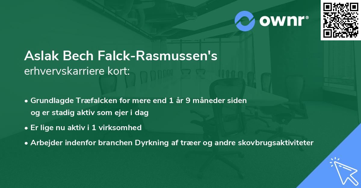 Aslak Bech Falck-Rasmussen's erhvervskarriere kort