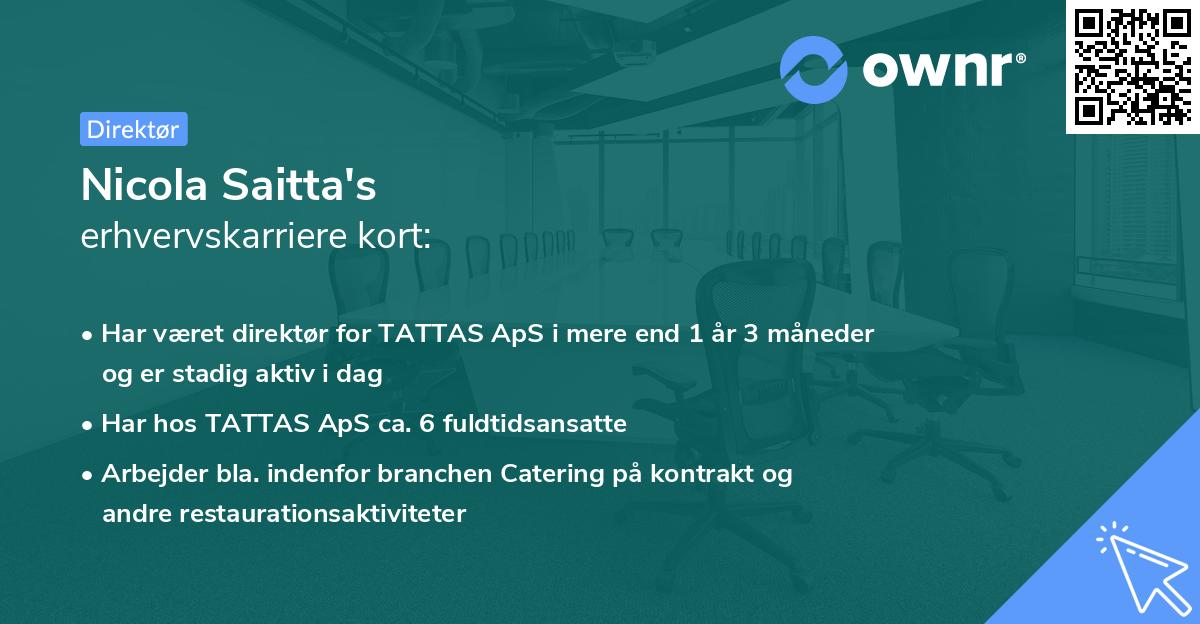 Nicola Saitta's erhvervskarriere kort