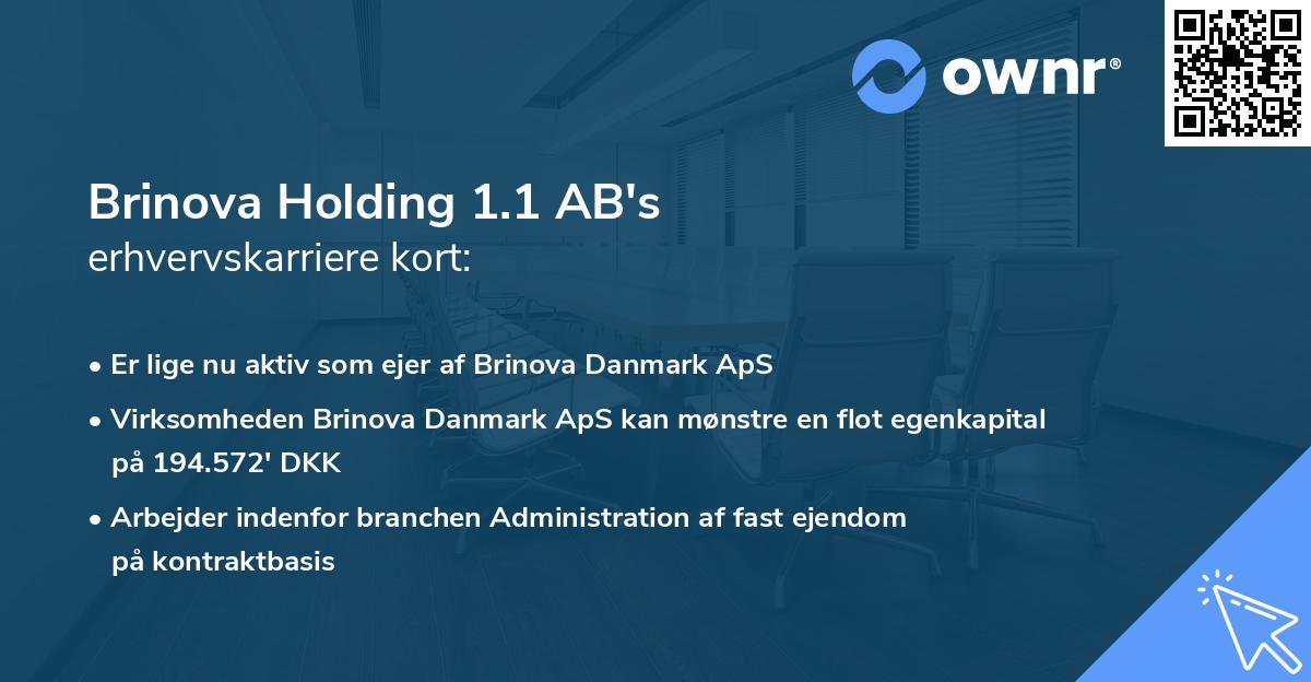 Brinova Holding 1.1 AB's erhvervskarriere kort