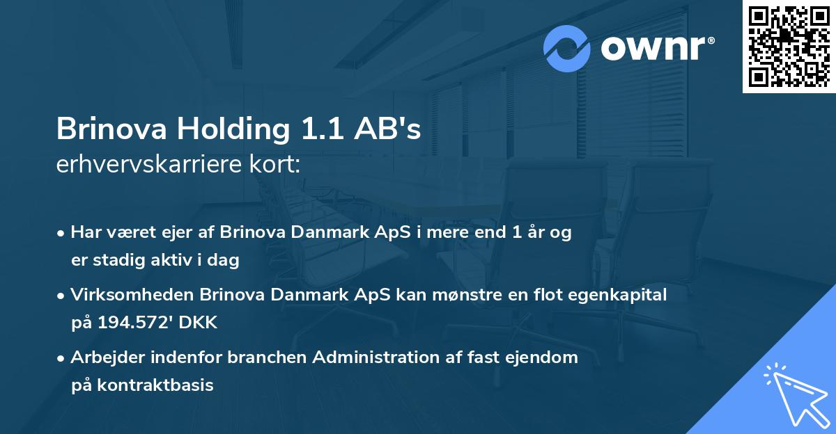 Brinova Holding 1.1 AB's erhvervskarriere kort
