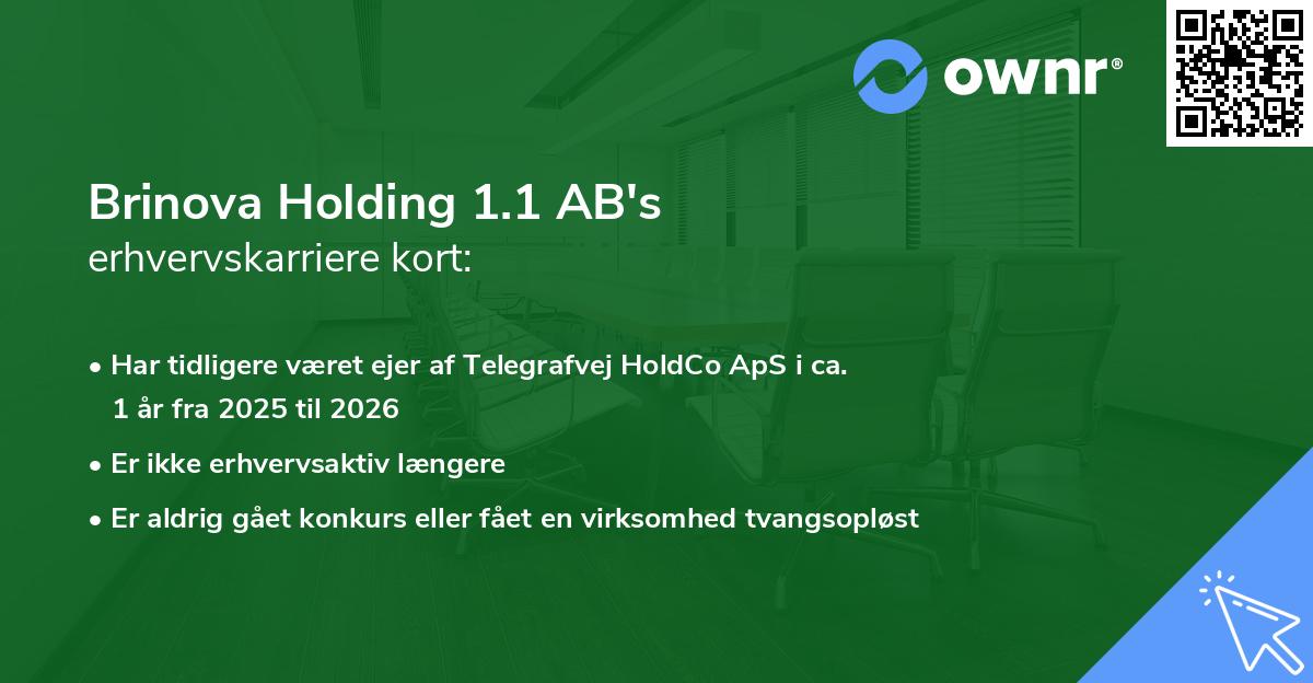 Brinova Holding 1.1 AB's erhvervskarriere kort